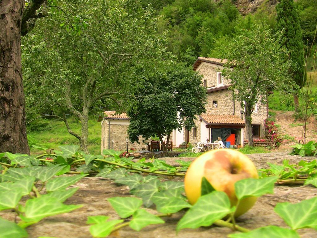 Agriturismo Di La Dall'Acqua Fivizzano Exterior foto
